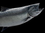 Men's King Salmon Leggings